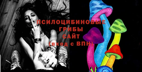 дживик Верея